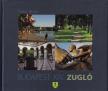 Halas István - Budapest XIV. Zugló [antikvár]