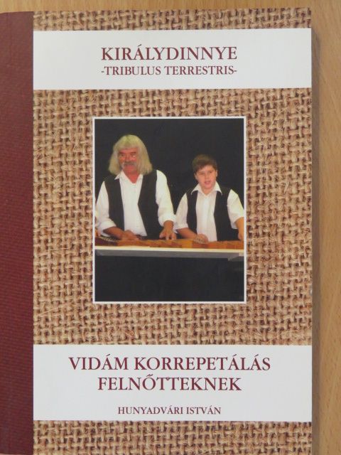 Hunyadvári István - Királydinnye (dedikált példány) [antikvár]