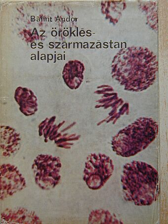 Bálint Andor - Az öröklés- és származástan alapjai [antikvár]