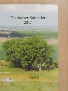 Mirabell Molnár - Deutscher Kalender 2017 [antikvár]