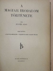 Pintér Jenő - A magyar irodalom története I-II. [antikvár]