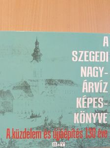 Tóth Béla - A szegedi nagyárvíz képeskönyve [antikvár]