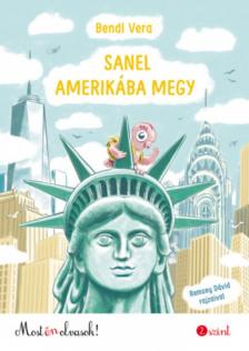 Bendl Vera - Sanel Amerikába megy - Most én olvasok! 2. szint [antikvár]