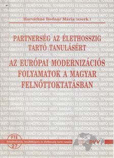 Horváthné Bodnár Mária (szerk.) - Az európai modernizációs folyamatok a magyar felnőttoktatásban [antikvár]