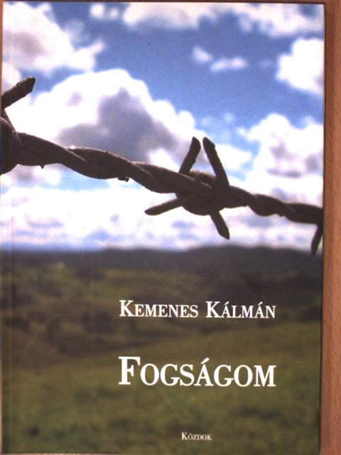 Kemenes Kálmán - Fogságom [antikvár]