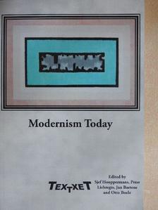 Dirk de Geest - Modernism Today [antikvár]