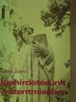 Csőgl János - Igehirdetésünk a szentmisében [antikvár]