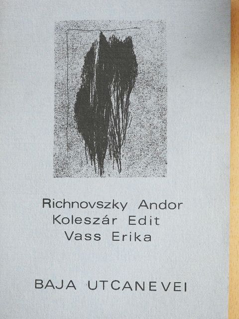 Koleszár Edit - Baja utcanevei [antikvár]
