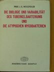 E. Vandra - Die biologie und variabilität des tuberkelbakteriums und die atypischen mycobakterien [antikvár]
