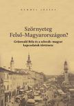 Demmel József - Szörnyeteg Felső-Magyarországon? Grünwald Béla és a szlovák-magyar kapcsolatok története