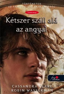 Cassandra Clare, Robin Wasserman - Kétszer száll alá az angyal [antikvár]