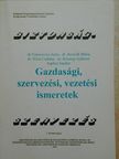 Dr. Bencsik Mária - Gazdasági, szervezési, vezetési ismeretek [antikvár]