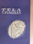Kárász József - Tél a tavaszban [antikvár]
