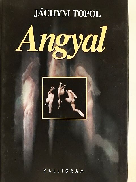 Jáchym Topol - Angyal [antikvár]