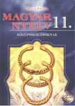 HAJAS ZSUZSA - Magyar nyelv 11. [antikvár]