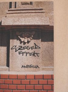 Árpás Károly - Szeged effekt [antikvár]