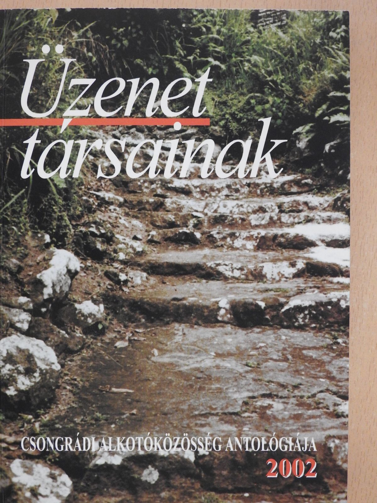 Bálint Gyula György - Üzenet társainak (dedikált és aláírt példány) [antikvár]
