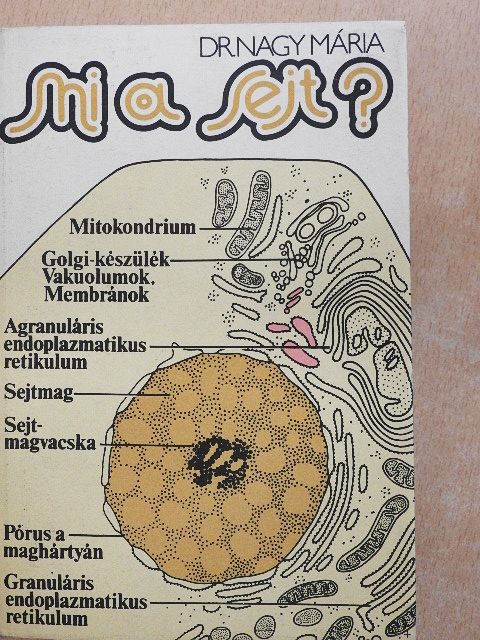 Dr. Nagy Mária - Mi a sejt? [antikvár]