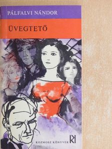 Pálfalvi Nándor - Üvegtető [antikvár]