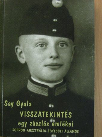 Say Gyula - Visszatekintés [antikvár]