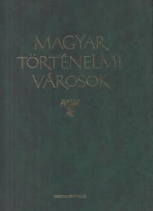 KARÁDI ILONA - Magyar történelmi városok [antikvár]