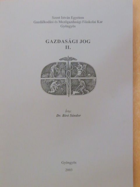 Dr. Bíró Sándor - Gazdasági jog II. [antikvár]