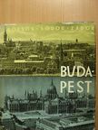 Dr. Borsos Béla - Budapest [antikvár]