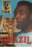 Dénes Tamás - Brazil futballszamba [antikvár]