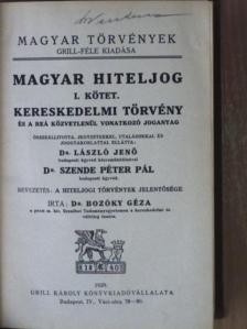 Dr. Bozóky Géza - Magyar hiteljog I. [antikvár]