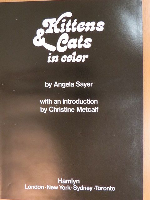 Angela Sayer - Kittens and Cats in color [antikvár]