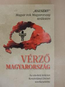 Andrássy Gyula gróf - Vérző Magyarország [antikvár]