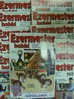 Ezermester Hobbi 1995. január-december [antikvár]