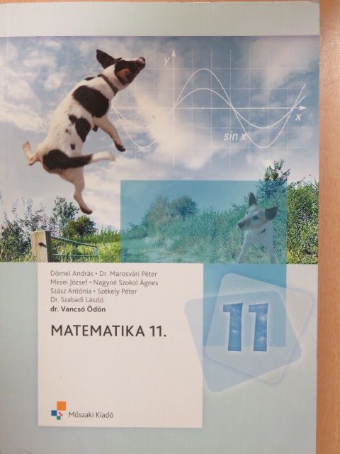 Dömel András - Matematika 11. [antikvár]