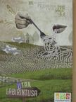 Pszinapszis - Utak labirintusa [antikvár]