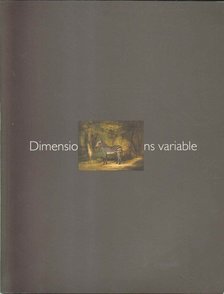 Gallagher, Ann - Dimensions variable [antikvár]