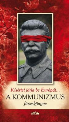 Papp Csaba - Kísértet járja be Európát... [antikvár]