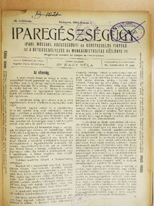 Dr. Czettler Jenő - Iparegészségügy 1904. január-december [antikvár]