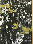 Baróti Dezső - A Petőfi Irodalmi Múzeum Évkönyve 1967-68 [antikvár]