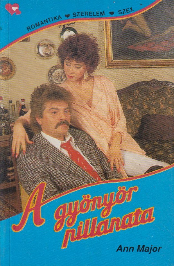 Major, Ann - A gyönyör pillanata [antikvár]
