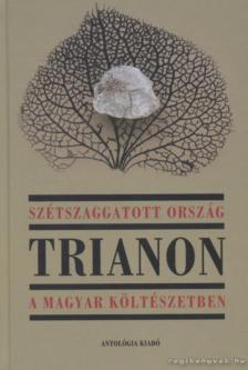 Bíró Zoltán - Szétszaggatott ország [antikvár]