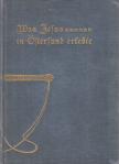 Viktor Hugo Wickström - Was Jesus in Östersund erlebte [antikvár]