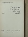 Castro Soromenho - Senhor Américo [antikvár]
