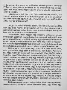 Végh Károly - Ufus Affila - Ördögkeringő [antikvár]