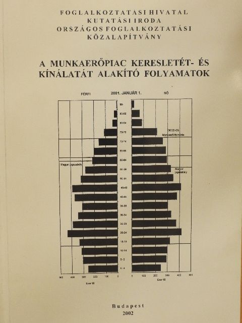Falussy Béla - A munkaerőpiac keresletét- és kínálatát alakító folyamatok [antikvár]