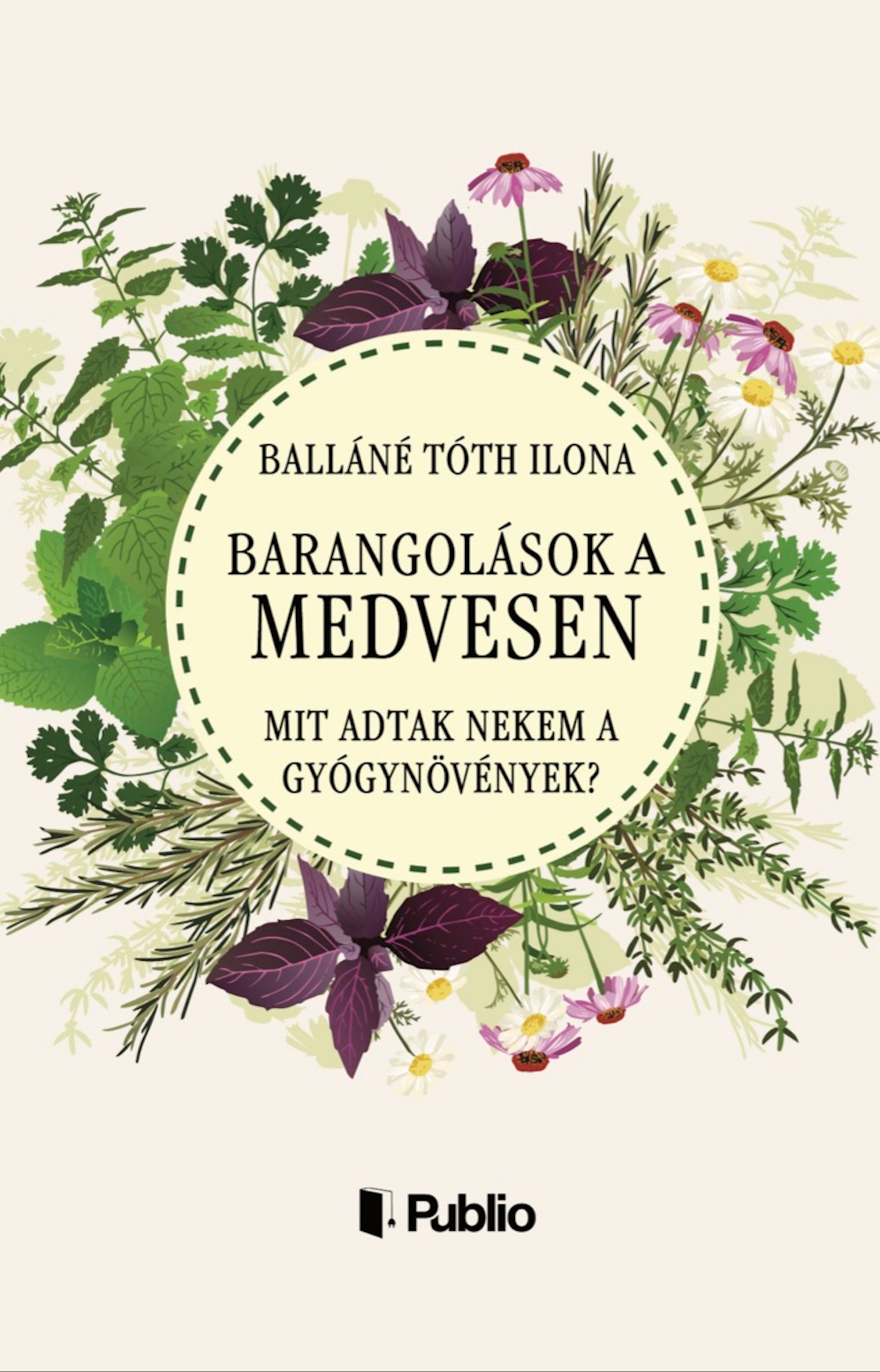 Balláné Tóth Ilona - Barangolások a Medvesen [eKönyv: epub, mobi]