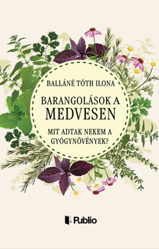 Balláné Tóth Ilona - Barangolások a Medvesen [eKönyv: epub, mobi]
