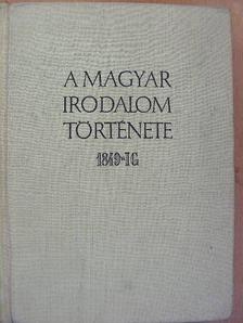 Bán Imre - A magyar irodalom története 1849-ig [antikvár]