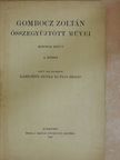 Gombocz Zoltán - Magyar történeti nyelvtan II. kötet [antikvár]