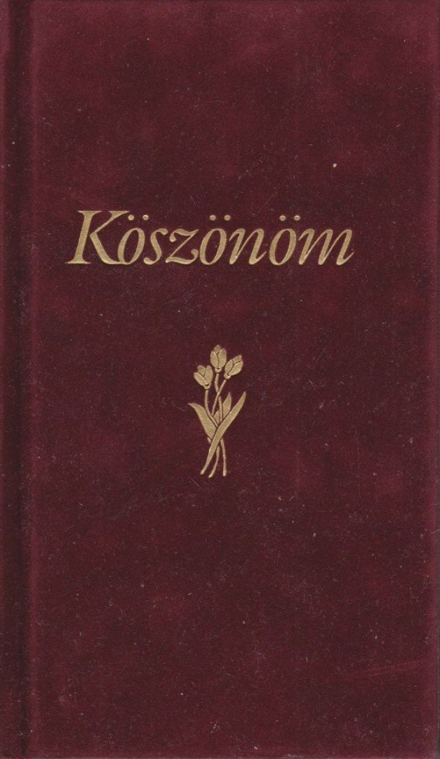 Lengyel Tamás - Köszönöm [antikvár]