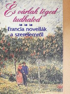 Guy de Maupassant - És várlak téged tudhatod [antikvár]